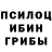 Галлюциногенные грибы Psilocybine cubensis Evgenia ANN