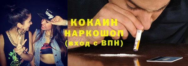 крисы Богородицк