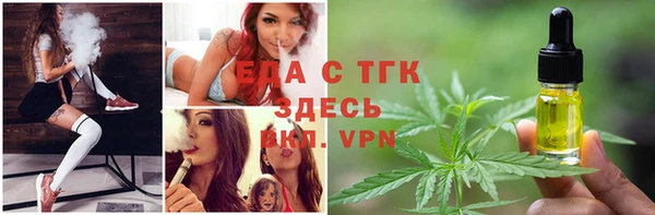 крисы Богородицк