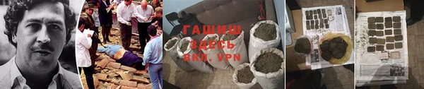 крисы Богородицк