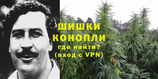 крисы Богородицк