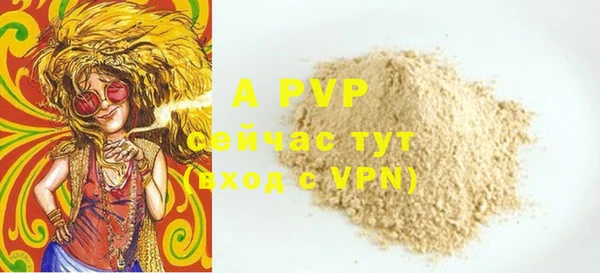 крисы Богородицк