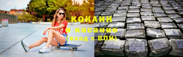 крисы Богородицк