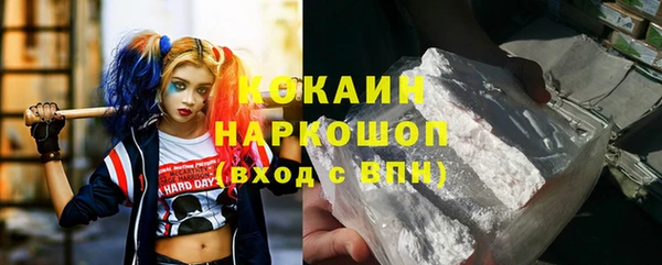 крисы Богородицк