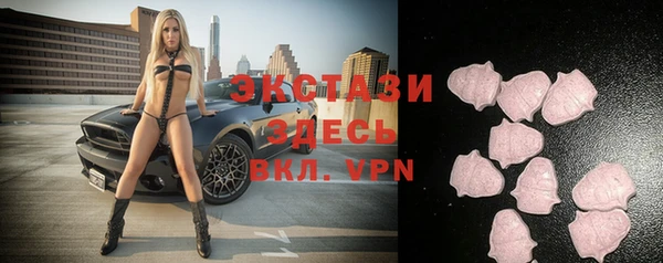 крисы Богородицк
