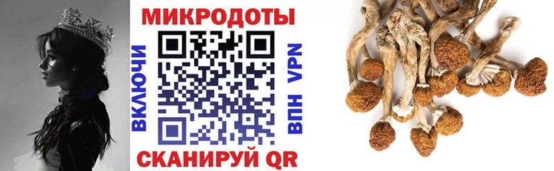 Галлюциногенные грибы Psilocybe mega ССЫЛКА Астрахань